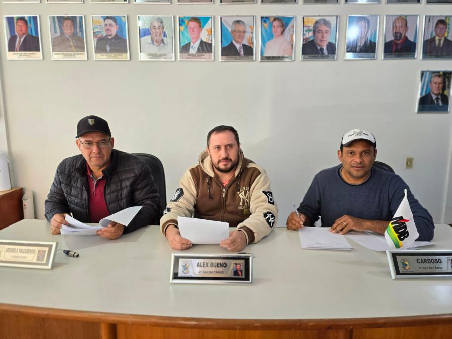 comissão de constituição e justiça 