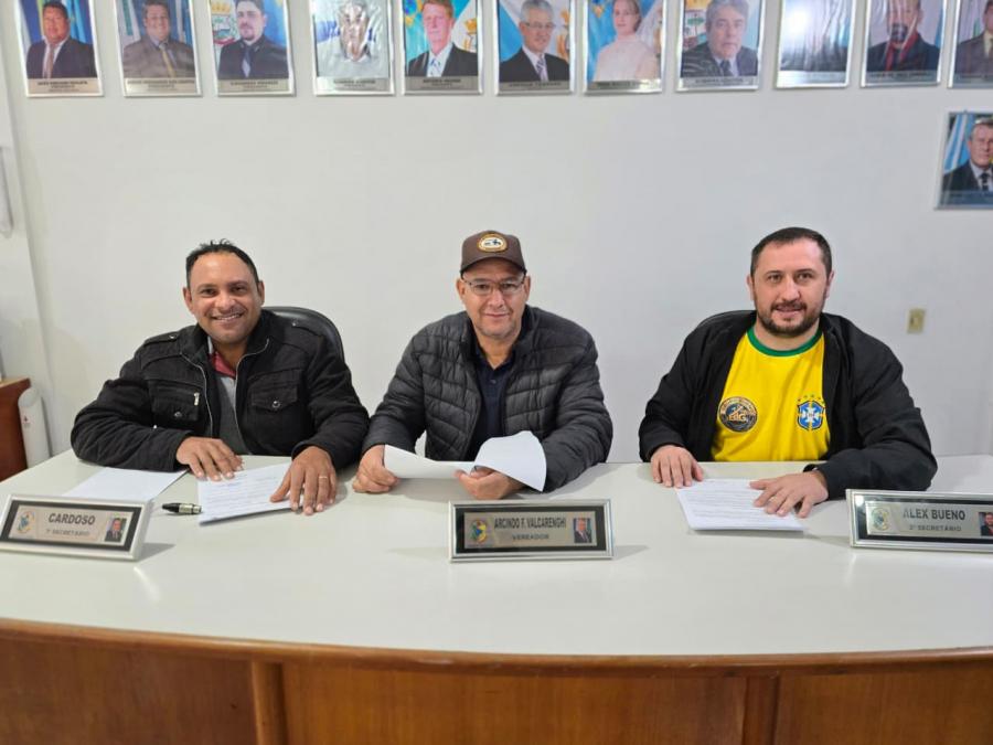comissão de constituição e justiça 