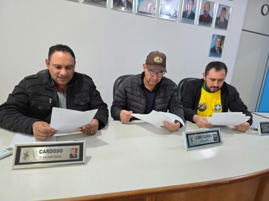 comissão de constituição e justiça 