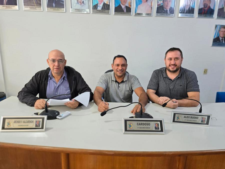 reunião das comissão